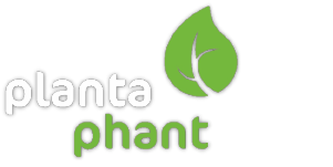 plantaphant logo